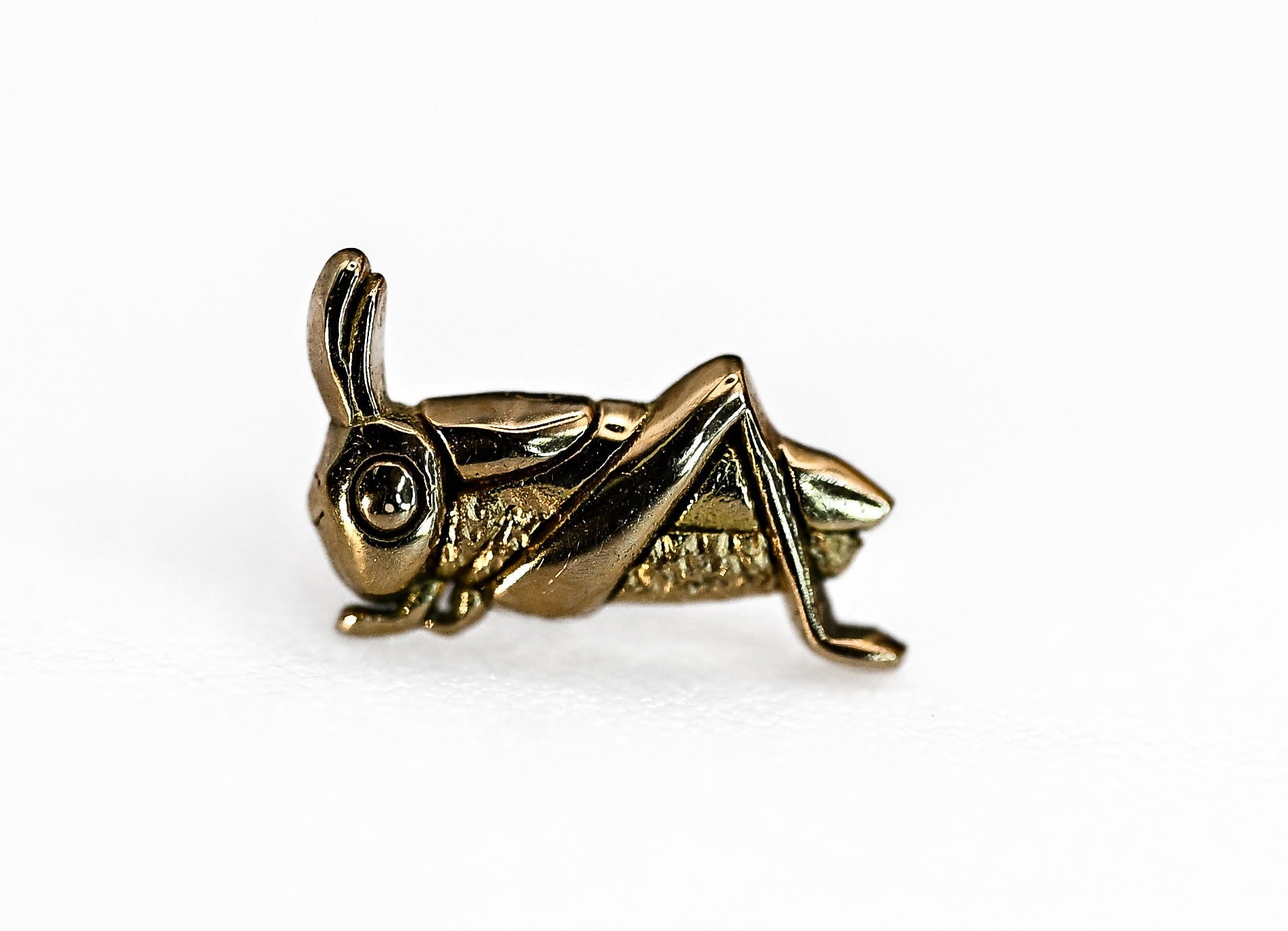 KIWI GRASSHOPPER- 15k Yellow Gold