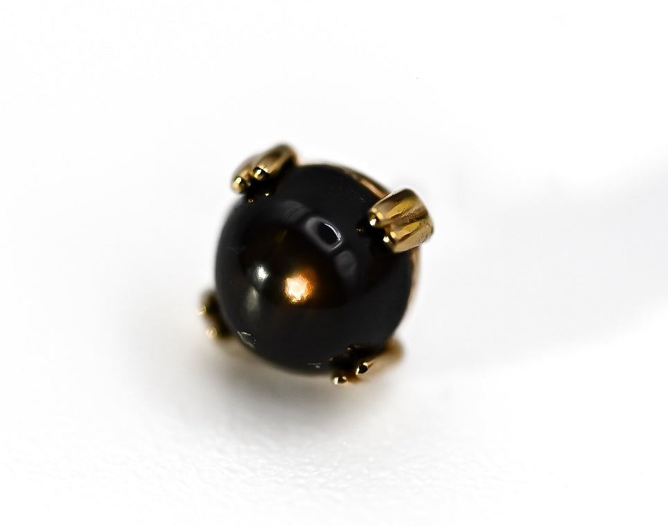 BVLA CAB PRONG- 14k Yellow Gold- BLACK STAR SAPPHIRE