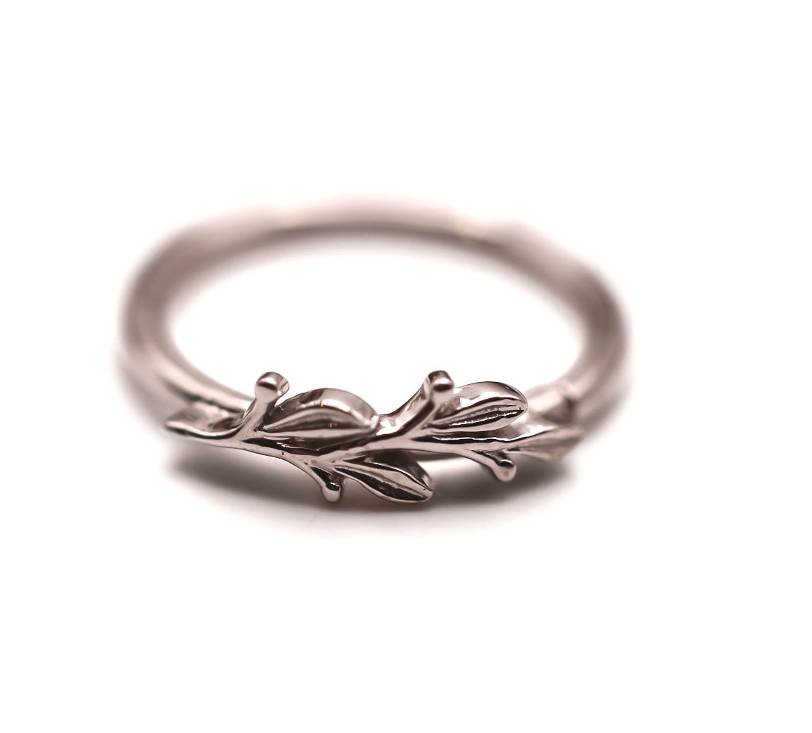 BVLA AMITY- 14k White Gold- 16g Seam Ring