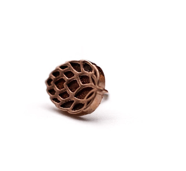 BVLA HOP- 14k Rose Gold