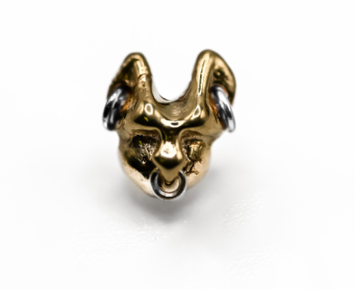 PUPIL HALL 14k Yellow Gold- MEW MEW