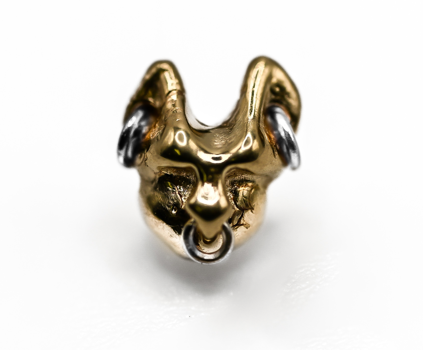 PUPIL HALL 14k Yellow Gold- MEW MEW