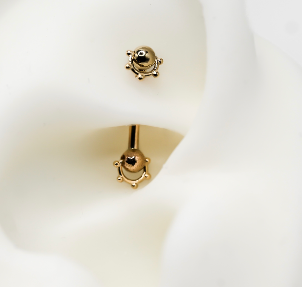 PUPIL HALL 14k Yellow Gold- ROOKIE Barbell Curve