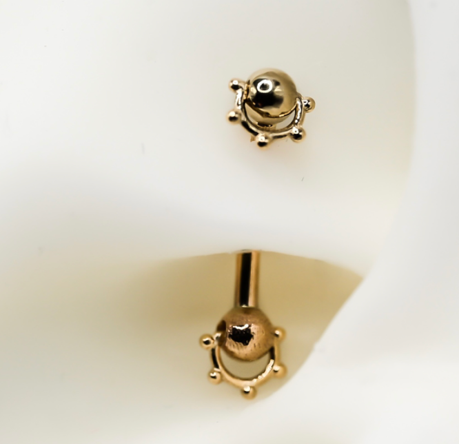 PUPIL HALL 14k Yellow Gold- ROOKIE Barbell Curve