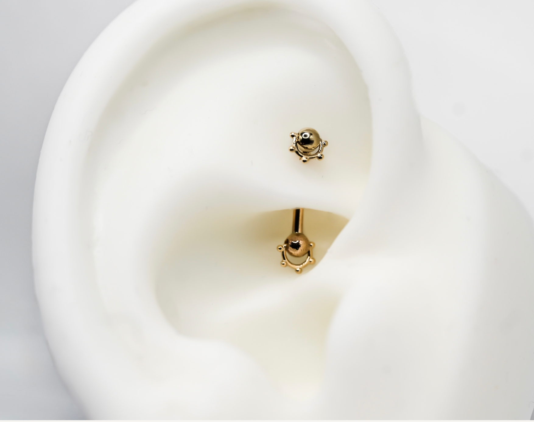 PUPIL HALL 14k Yellow Gold- ROOKIE Barbell Curve