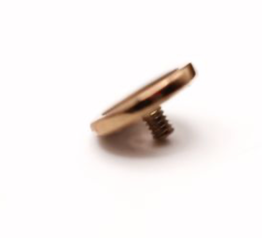 BVLA 14k Yellow Gold BUTTON- 6mm (14g)