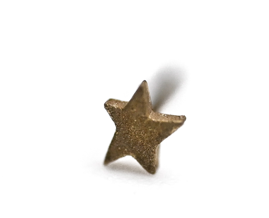 PUPIL HALL BITTY 14k Yellow Gold- TEXTURED STAR