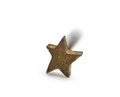 PUPIL HALL BITTY 14k Yellow Gold- TEXTURED STAR