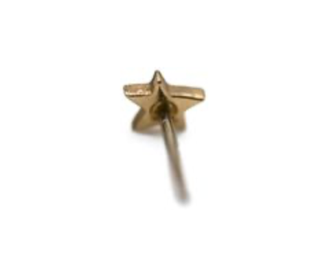 PUPIL HALL BITTY 14k Yellow Gold- TEXTURED STAR