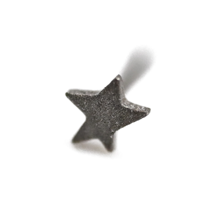 PUPIL HALL BITTY 14k White Gold- TEXTURED STAR