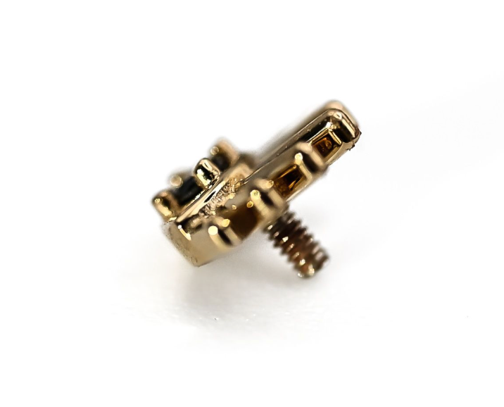 BVLA TAPATI EYE -14k Yellow Gold- BLACK DIAMOND (16g)